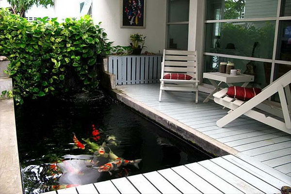 Mẫu hồ cá koi mini
