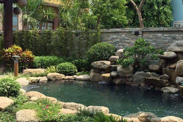 Mẫu hồ cá koi ngoài trời