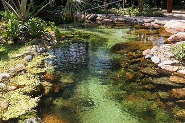 Mẫu hồ cá koi sân vườn