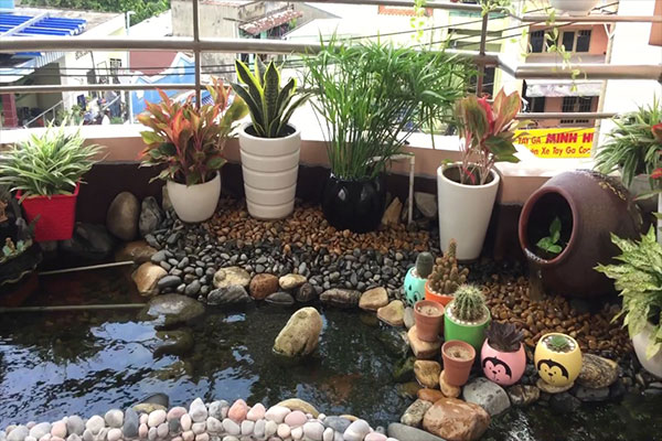 Mẫu hồ cá koi sân thượng