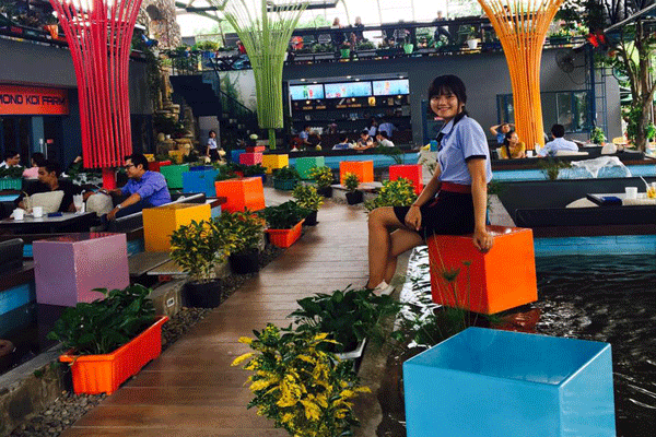 Địa điểm uống cafe ngắm cá koi