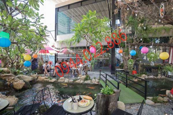 Thiết kế hồ cá koi mini trong nhà