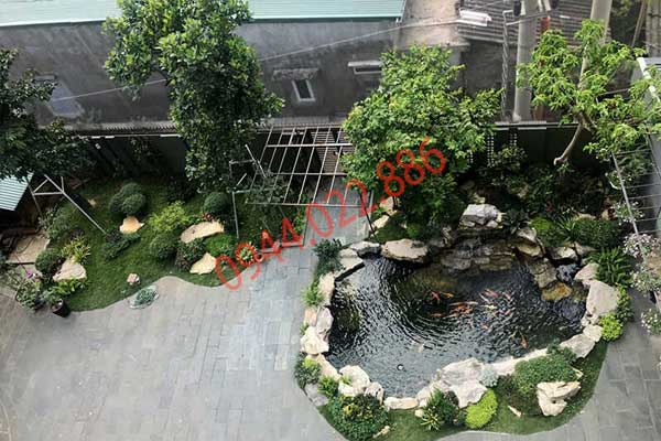 Thiết kế hồ cá koi Mini