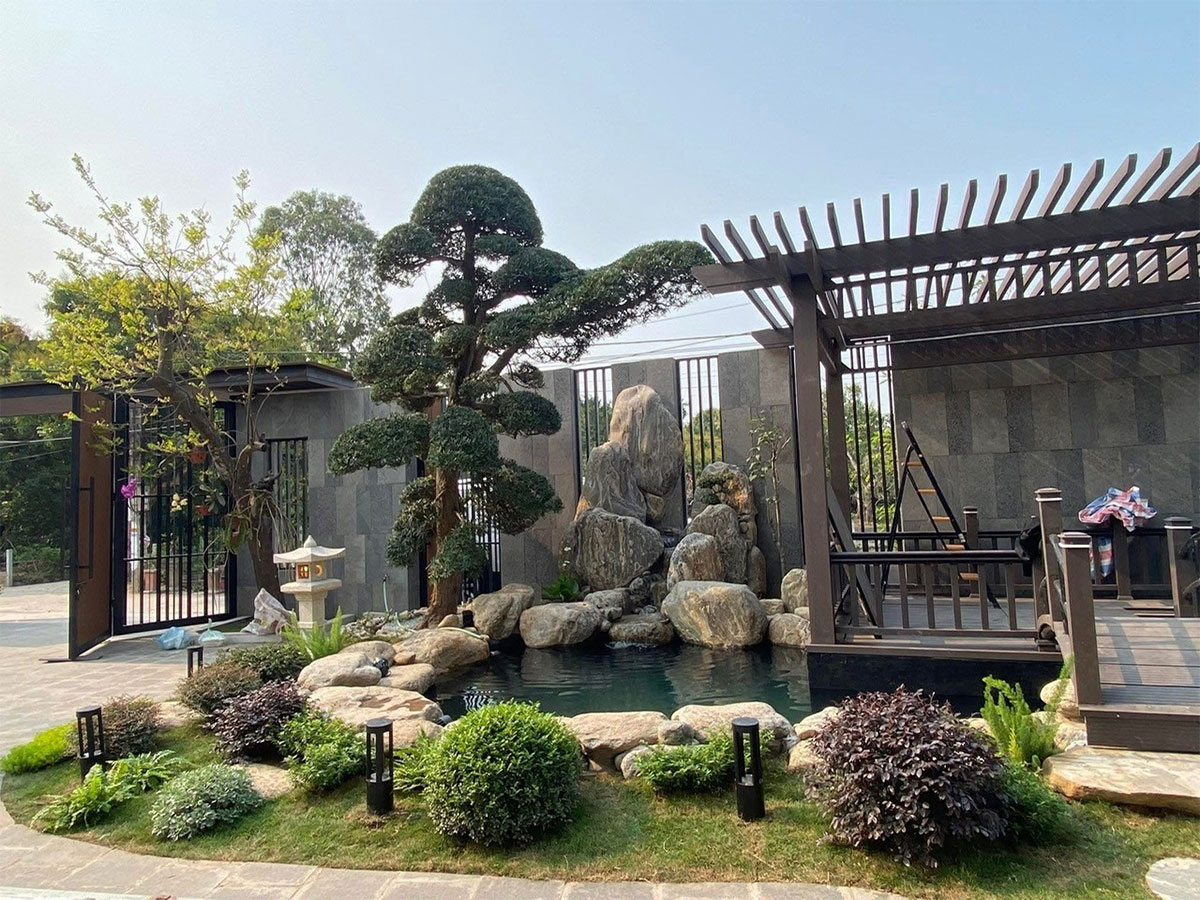 1780635334ho-ca-koi-biet-thu-tai-thanh-pho-phu-ly-ha-nam.jpg