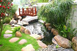 Hồ Koi mini 06- 10-15m2. 