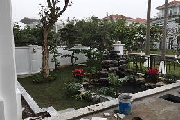 Hồ Koi Biệt Thự Tân Cổ Điển 40-100m2