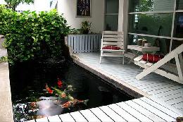 Mẫu hồ cá koi mini