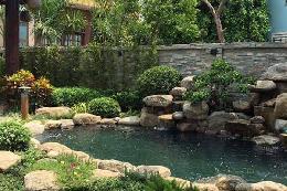 Mẫu hồ cá koi ngoài trời