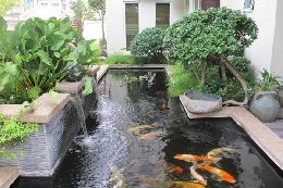Mẫu hồ cá koi biệt thự