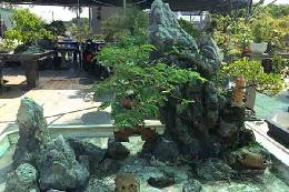 Thi công hòn non bộ mini