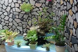 Mẫu hòn non bộ mini đẹp