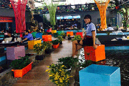 Địa điểm uống cafe ngắm cá koi