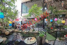 Thiết kế hồ cá koi mini trong nhà