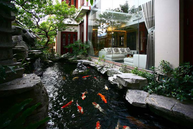 Cải tạo hồ cá koi