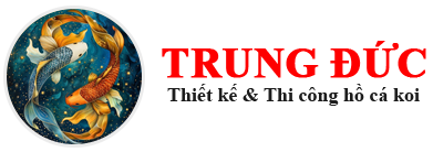Trung Đức Hồ Cá Koi