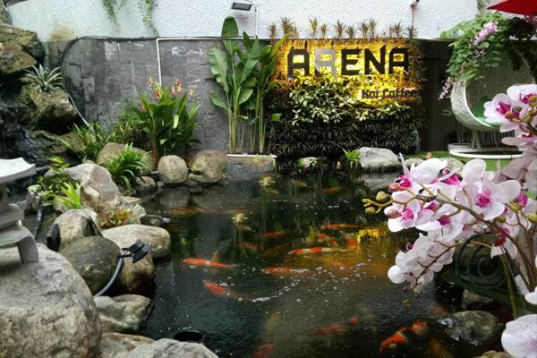 Quán Cafe arena koi 