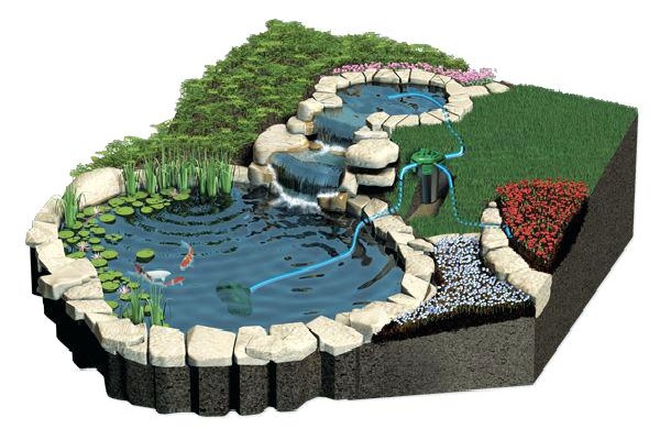 bản vẽ hồ cá koi 3D