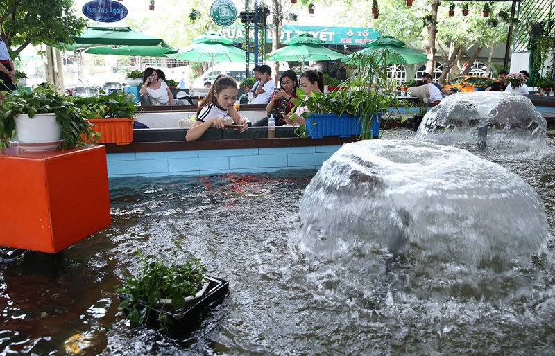 cafe-hồ-cá-koi-2