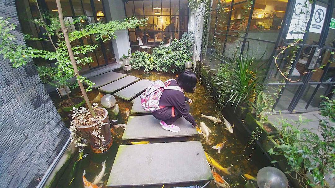 cafe-hồ-cá-koi-2