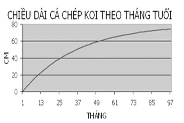 chiều dài nhật biết cá koi lớn theo từng tháng