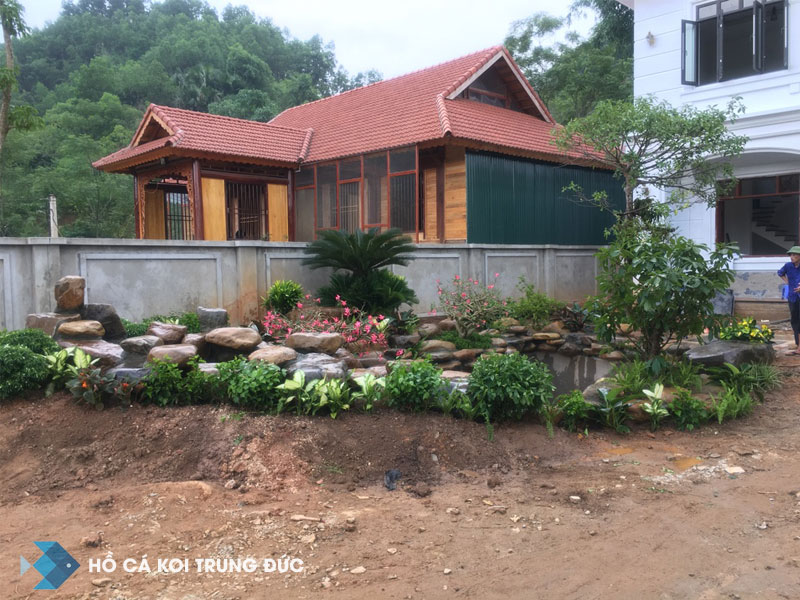 mẫu hồ cá koi ngoài trời sát vách hông nhà 1