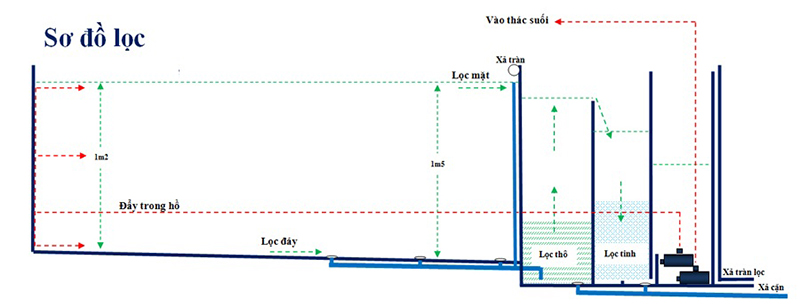 Hệ thống lọc hồ cá ngoài trời đạt chuẩn