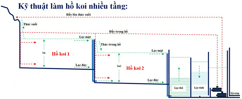 hệ thống lọc hồ cá koi