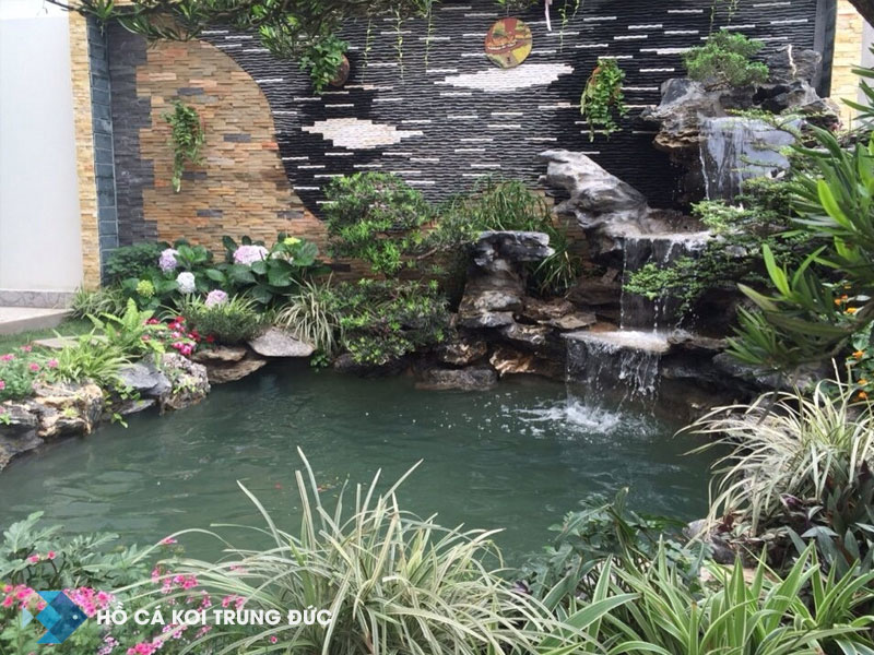 Thi công hồ cá koi tại Nha Trang