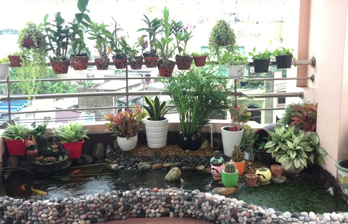 Hồ cá koi đơn giản trên sân thượng hoặc ban công
