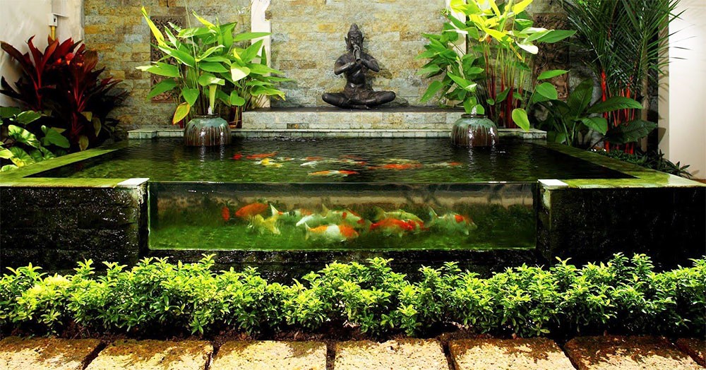 Hồ cá Koi Trung Đức mini trong nhà