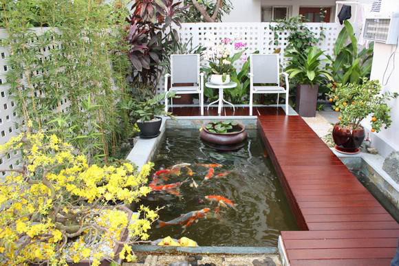 mẫu hồ cá koi mini phong cách hiện đại