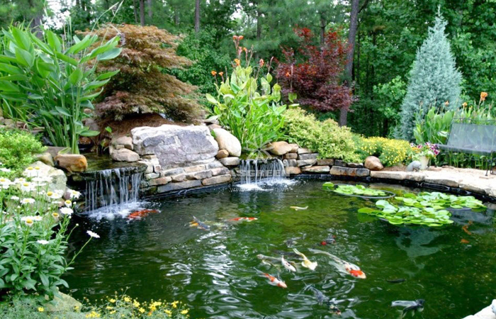 mẫu hồ cá koi sân vườn thác nươc kiểu nhật mẫu hồ cá koi sân vườn thác nươc kiểu nhật