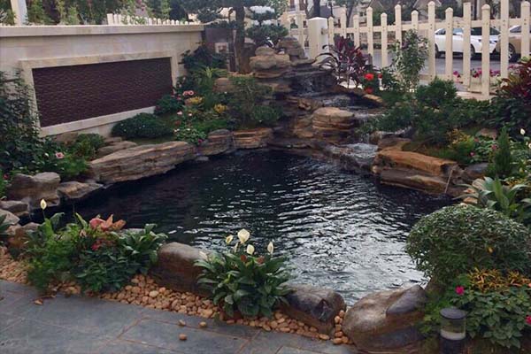 hình dáng phong thủy hồ cá koi