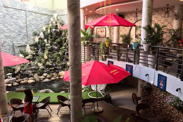 Ngồi uống cafe ngắm nhìn hồ cá koi
