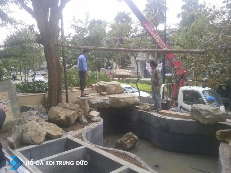 Thi công hồ cá koi tại thành phố Hồ Chí Minh 2