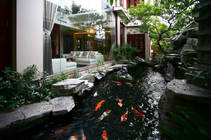Mẫu hồ cá koi biệt thự 2