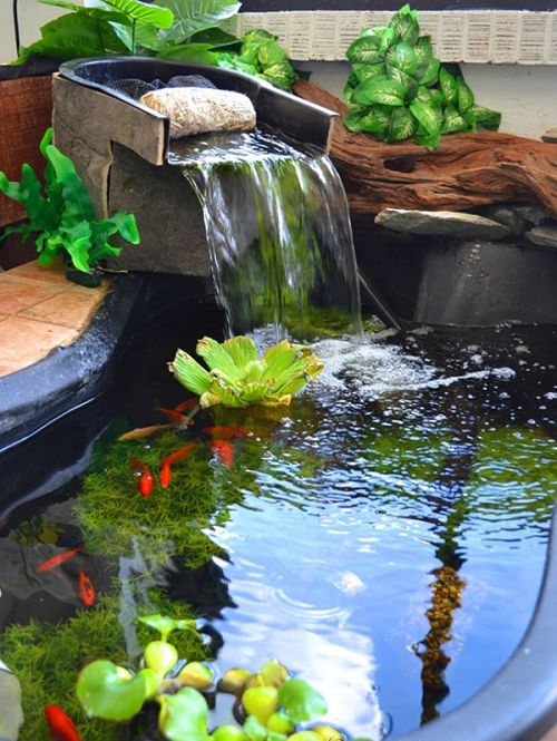 thi công hồ cá koi trong nhà 1